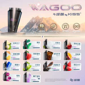新品上市【WAGOO❣️哇酷拋棄式6500口❣️】by KIS5 的高端品牌 【滿10送1】